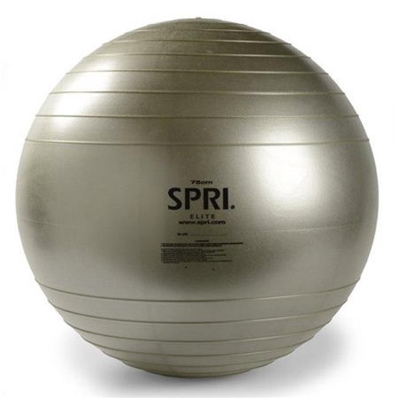 SPRI SPRI SXBPP75S 75 cm Pro Plus Xercise Ball; Silver SXBPP75S